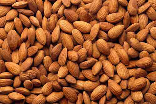 Good Taste And Rich In Protein Almond Nut