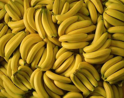 100% Pure Natural Fresh Banana