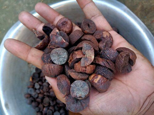 Organic Betel Nut
