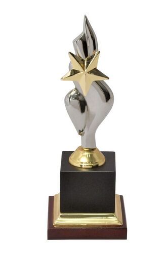 Attractive Look Awards Trophy