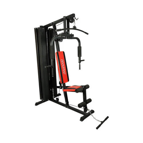 Home Gym with Back 