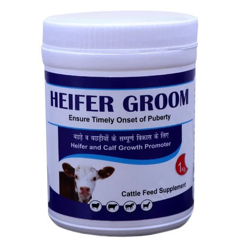 Healthy And Nutritious Cattle Feed Supplements