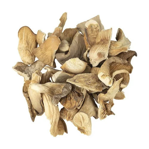 Dried Oyster Sajor Caju Mushroom