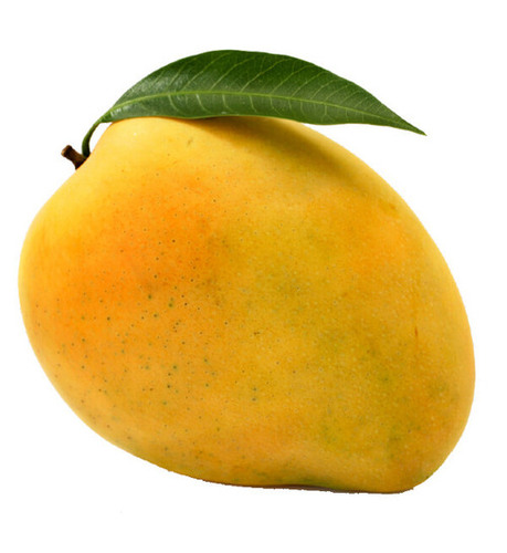 FRESH MANGOES