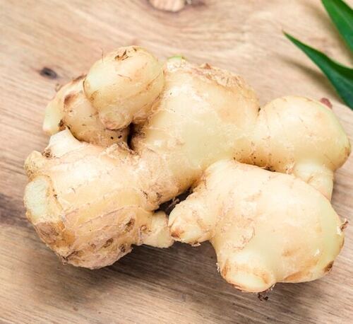 Light Brown Premium Fresh Ginger - Zingiber Officinale, Raw Pieces with 7 Years Shelf Life | Common Cultivation Type, Optimum Condition