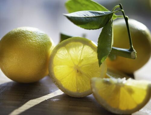 Round Organic Fresh Lemon - Yellow, Natural Style, Round Shape, Shelf Life: 1 Month, Good Condition | Preserved with Normal Compound, Raw Processing Form