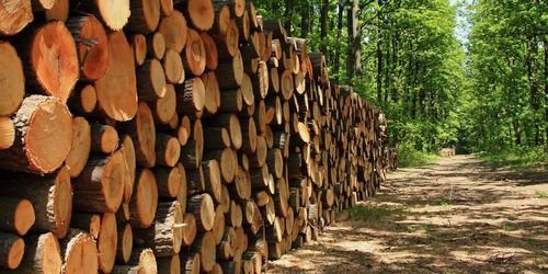Heavy Duty Sawn Wood Timber