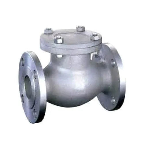 Non Return Valves