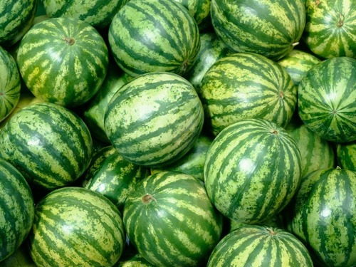 Fresh Watermelon - Big Oval Shape Green Color | 100% Pure Very Good Quality Non Glutinous Beneficial for Health