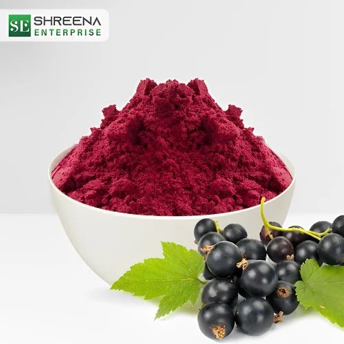 Spray Dried Black Currant Powder