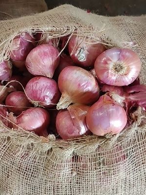 Fresh Organic Onion