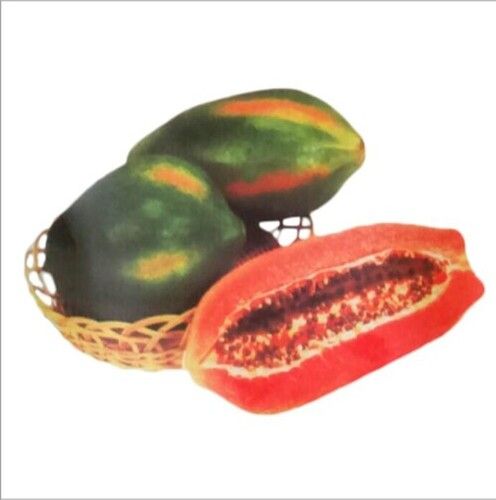 Hybrid Papaya Seeds Purity: 100%