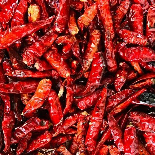 Dried Red Hyderabad Chilli, Gunny Bag