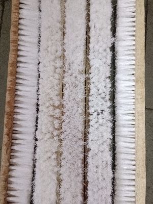 Rust Free Industrial Strip Brush