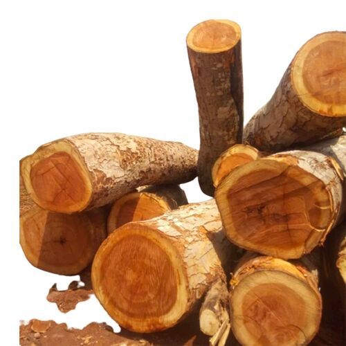 Ash Logs Hardwood Ash Wood Round Logs For Sale Bulk