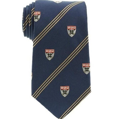 Blue Color Stripped Pattern 12 Inch Length School Tie