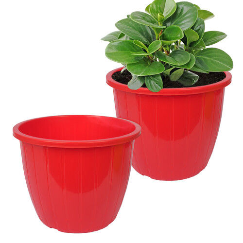 Decorative Flower Pots