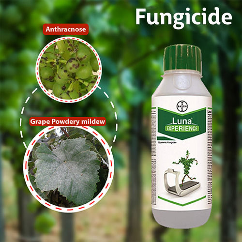 Agricultural Fungicides