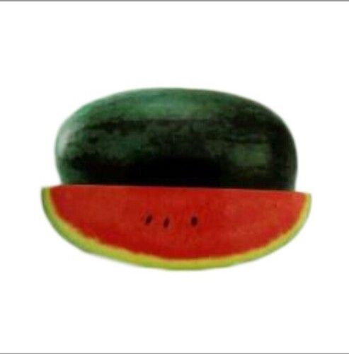 Kiran Watermelon Seeds