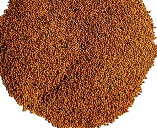 Natural Yellow Mustard Seeds