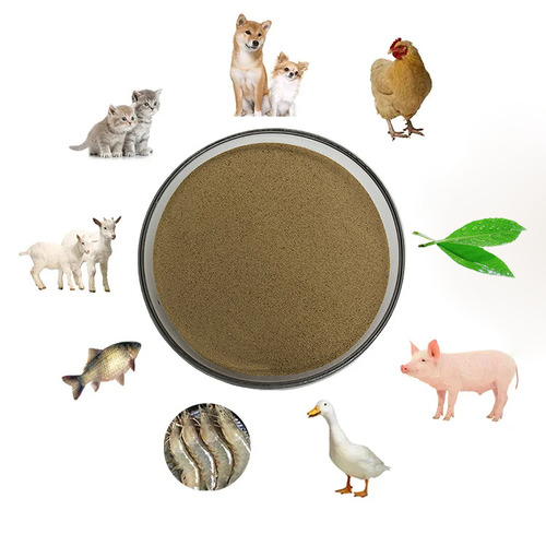 Popular Products Feed Additives Animal 10 biilion Bacillus subtilis Probiotics  Factory price Bacillus Subtilis 10/20/50/100/200/500 Billion cfu/g