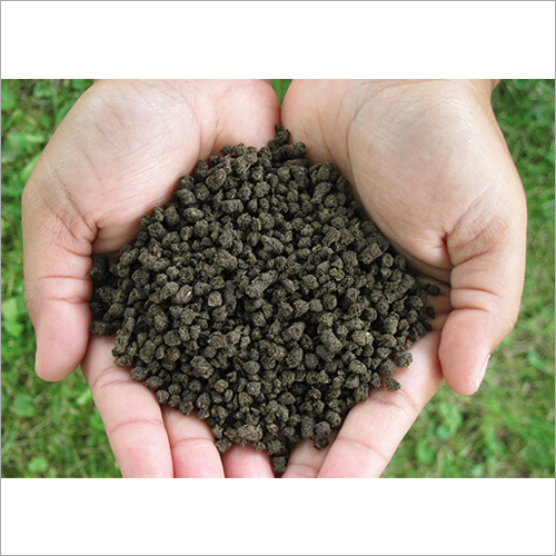 Bio Organic Fertilizer