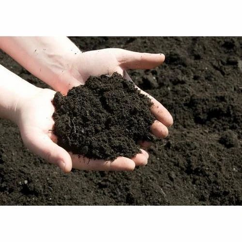 organic fertilizer