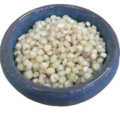 White Sorghum