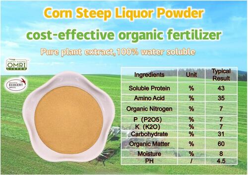 Corn Steep Liquor Powder With Amino Acid