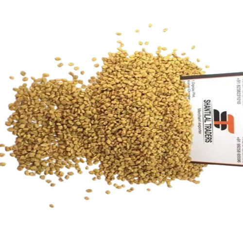 Fenugreek Seed