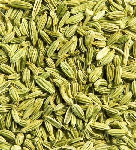 Green Natural Fennel Seed For Cooking