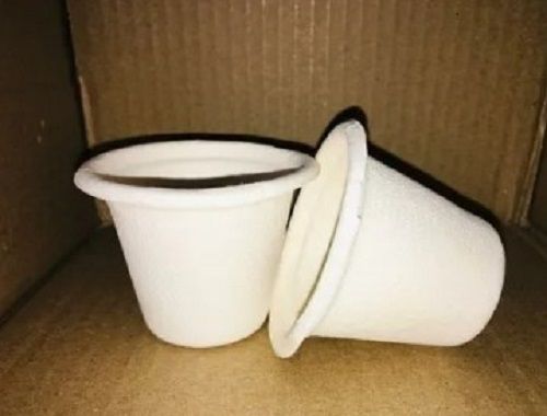 120 mL Plain Bagasse Glass