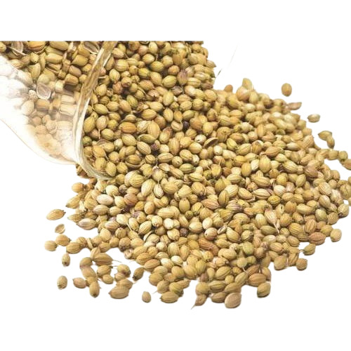 Coriander Seed - Grade A Organic 20 Kg | Chemical-Free 45% Vitamin C Natural Taste Rich in Iron & Magnesium
