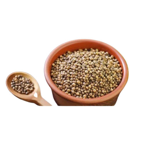 coriander seeds