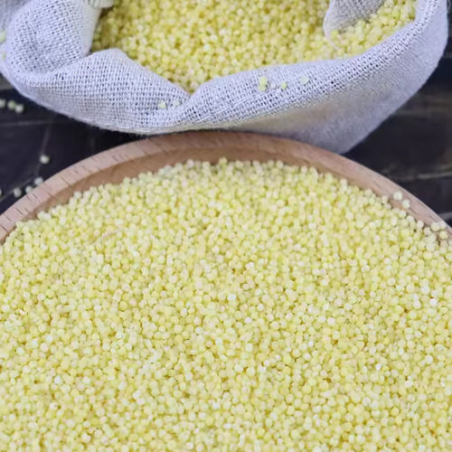 Glutinous White Broom Corn Millet