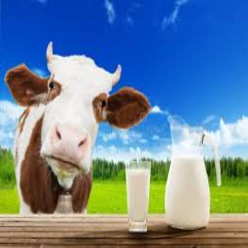100% Pure And Fresh Organic Cow Milk