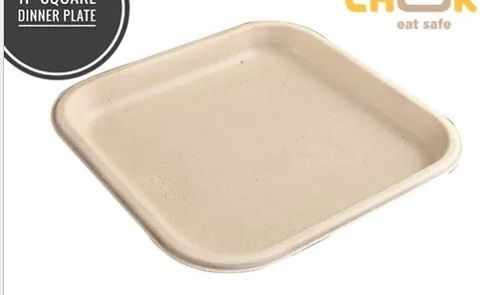 11 inch Square Dinner Plate