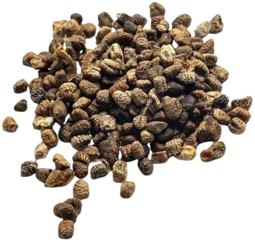 Dried Cardamom Seeds