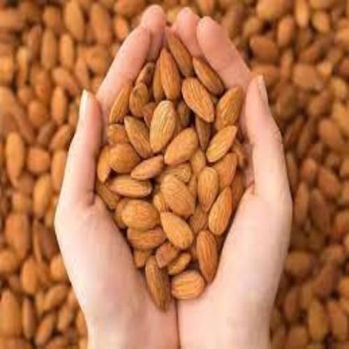 Organic Almond Nuts Style Dried