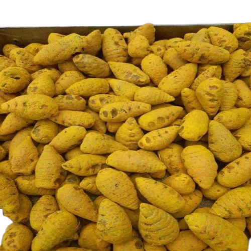 Yellow Turmeric Finger