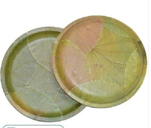 Disposable Plates