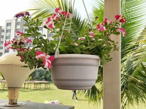 Plastic Flower Pots