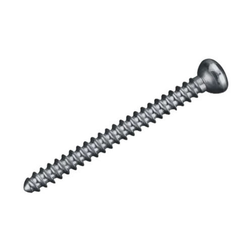 Silver And Premium Polished Bone Screws