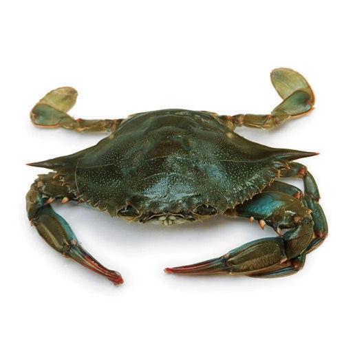 Frozen Sea Crab Packaging: Bulk