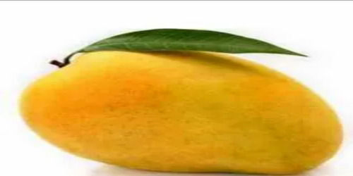 Fresh Mango