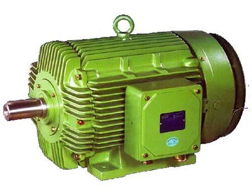 Flame Proof Industrial HT Electric Motors