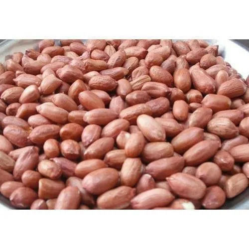 Brown Organic Groundnut Seeds Style Dried