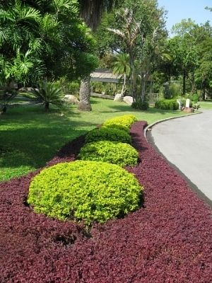 Landscaping And Garden Maintenance Services By GREEN FIELD BIOTECH
