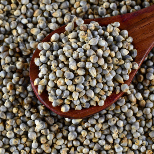 Natural Pearl Millet Bajra Raw - Broken Ratio (%): 1