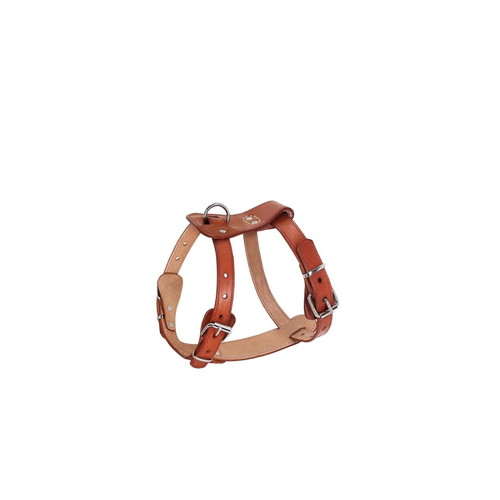 Leather Pet Neck Belt